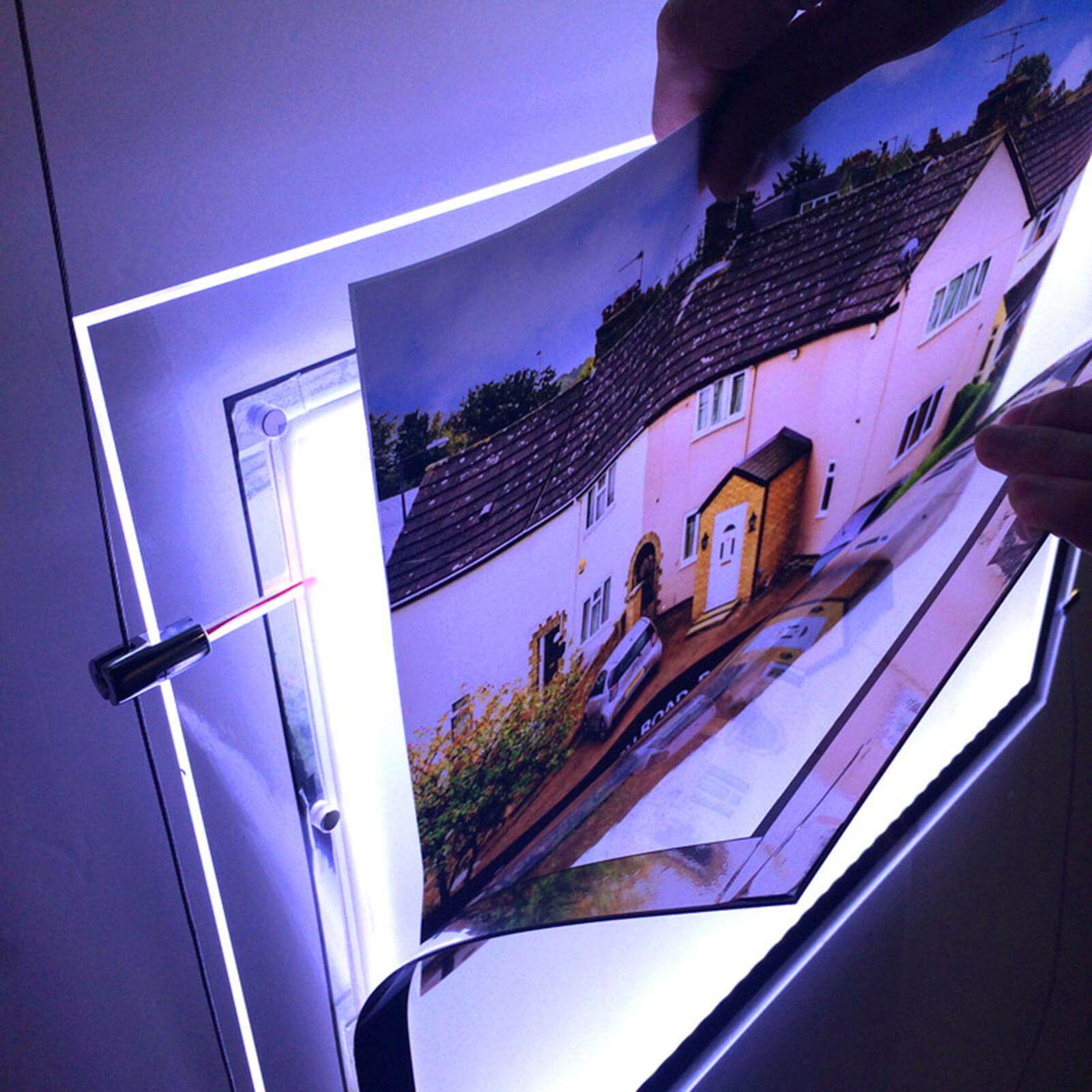  Backlite 
